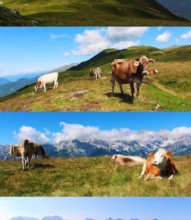 Tabia Di Francesca - Fienile Tra Le Montagne Silenziose *