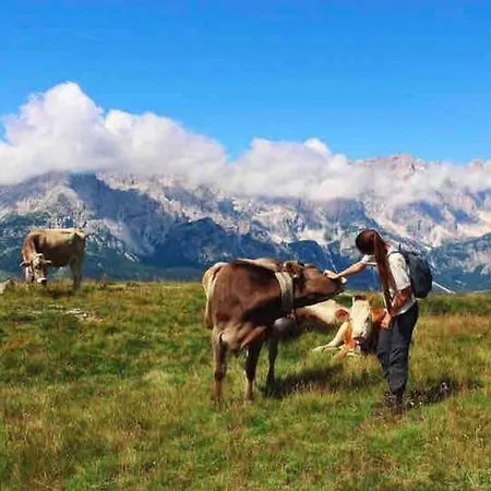 Tabia Di Francesca - Fienile Tra Le Montagne Silenziose * Candide