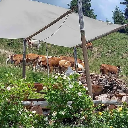 Tabia Di Francesca - Fienile Tra Le Montagne Silenziose *