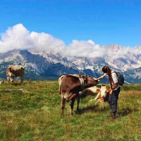 Tabia Di Francesca - Fienile Tra Le Montagne Silenziose * Candide