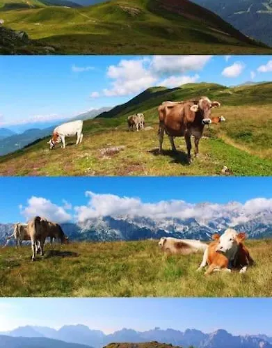 Tabia Di Francesca - Fienile Tra Le Montagne Silenziose *