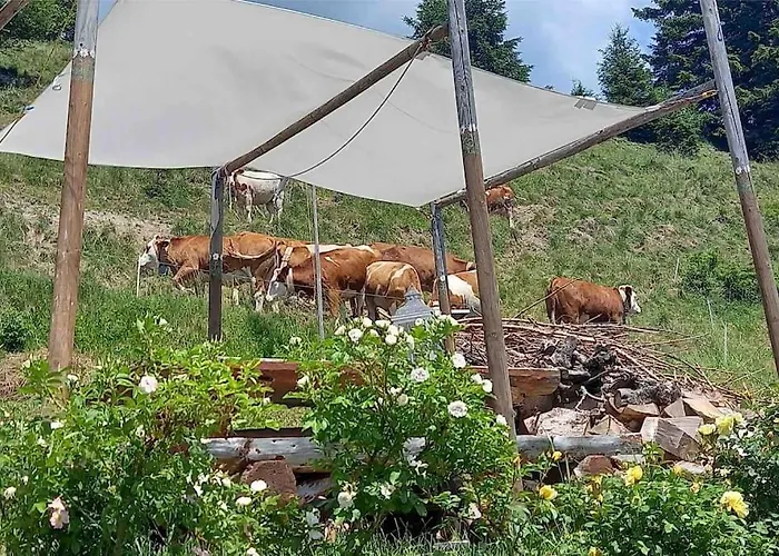Tabia Di Francesca - Fienile Tra Le Montagne Silenziose *