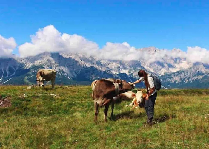 Tabia Di Francesca - Fienile Tra Le Montagne Silenziose * Candide
